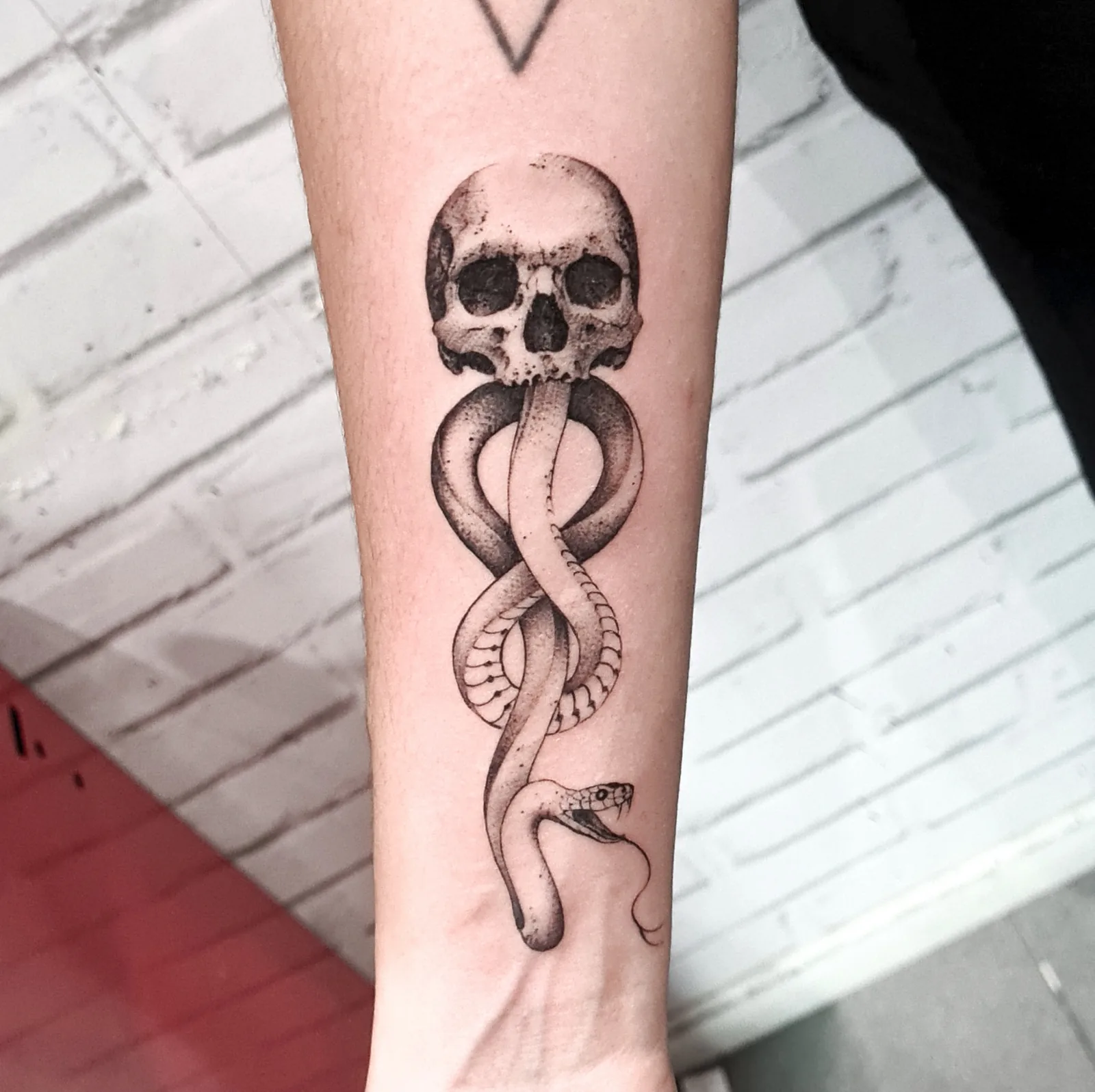Men's skull snake blackwork arm tattoo Paris – Showtime Tattoo